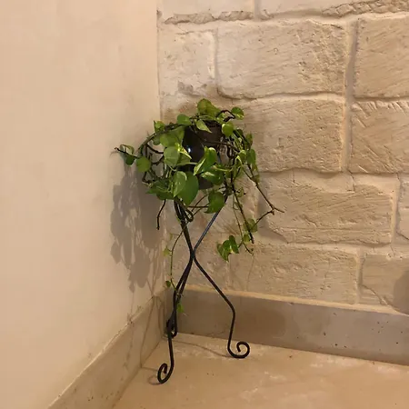 Mayu's House , Dimora Nel Centro Storico Di Holiday home Lecce